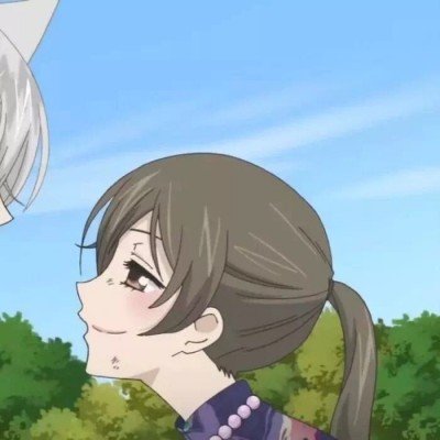 免费开放牡丹园多棵花枝却被折断